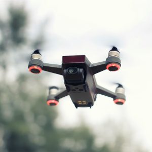 px19